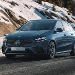 Mercedes-Winter-Check-1